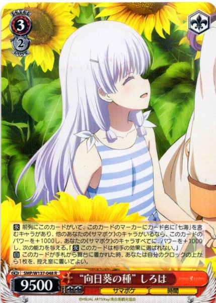 画像1: “向日葵の種” しろは[WS_SMP/W137-048R] (1)