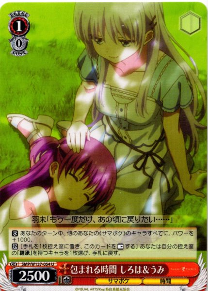 画像1: 包まれる時間 しろは＆うみ[WS_SMP/W137-054U] (1)