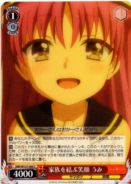 画像1: 家族を結ぶ笑顔 うみ[WS_SMP/W137-064C] (1)