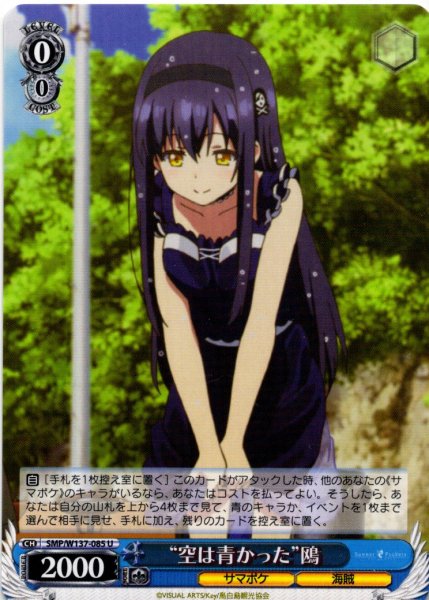画像1: “空は青かった”鴎[WS_SMP/W137-085U] (1)