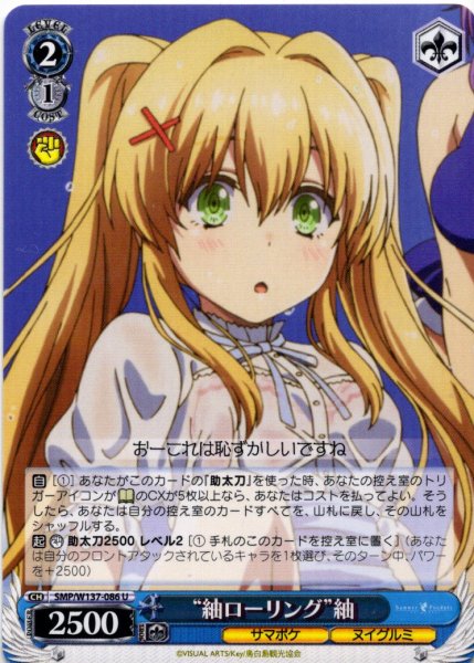 画像1: “紬ローリング”紬[WS_SMP/W137-086U] (1)