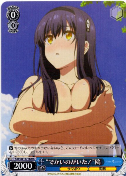 画像1: “でかいのがいた！”鴎[WS_SMP/W137-090C] (1)