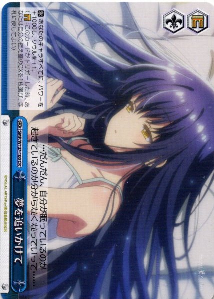 画像1: 夢を追いかけて[WS_SMP/W137-100CR] (1)