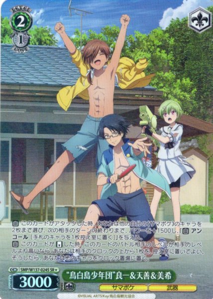 画像1: 【SR星1】“鳥白島少年団”良一＆天善＆美希[WS_SMP/W137-024S] (1)