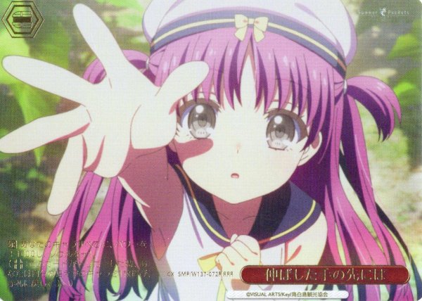 画像1: 【RRR仕様】伸ばした手の先には[WS_SMP/W137-072R] (1)