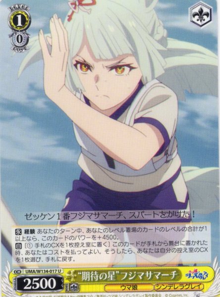 画像1: “期待の星”フジマサマーチ[WS_UMA/W134-017U] (1)