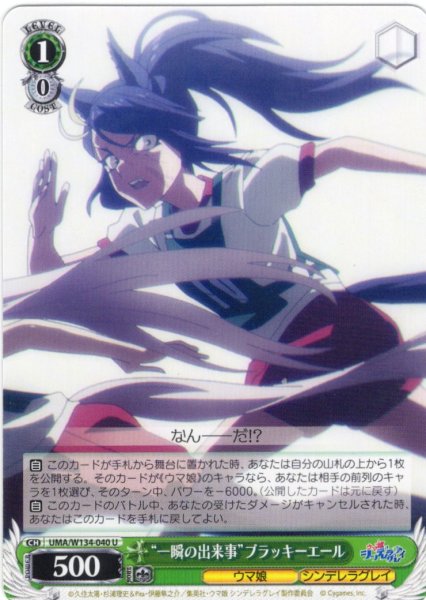 画像1: “一瞬の出来事”ブラッキーエール[WS_UMA/W134-040U] (1)