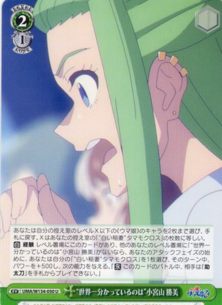 画像1: “世界一分かっているのは”小宮山 勝美[WS_UMA/W134-050U] (1)