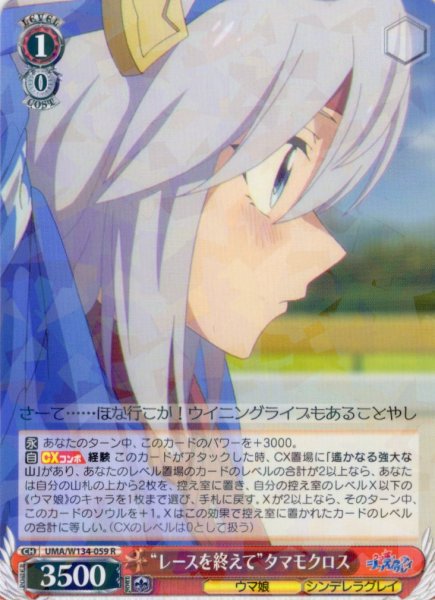 画像1: “レースを終えて”タマモクロス[WS_UMA/W134-059R] (1)