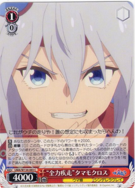 画像1: “全力疾走”タマモクロス[WS_UMA/W134-065C] (1)