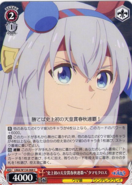 画像1: “史上初の天皇賞春秋連覇へ”タマモクロス[WS_UMA/W134-068C] (1)