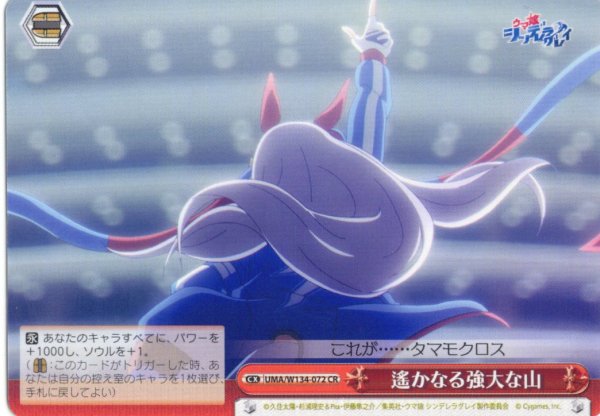 画像1: 遙かなる強大な山[WS_UMA/W134-072CR] (1)