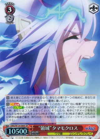 SSP仕様(RR)】“芦毛の怪物”オグリキャップ[WS_UMA/W134-074_SSP