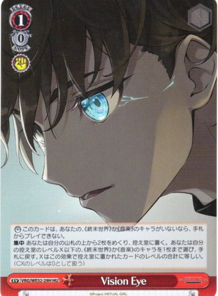 画像1: 【H仕様(U)】Vision Eye[WS_VRG/WE52-29HU] (1)