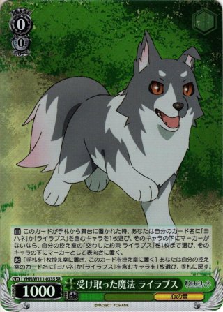 自家製ソーセージを作ろう　千明　ssp 自家製ソーセージを作ろう 千明 ssp 売れ筋がひ新作！ 限​定​販