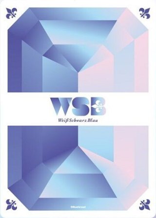 SSP仕様(RR)】フロイド・リーチ[WSB_TWST/01B-043SSP