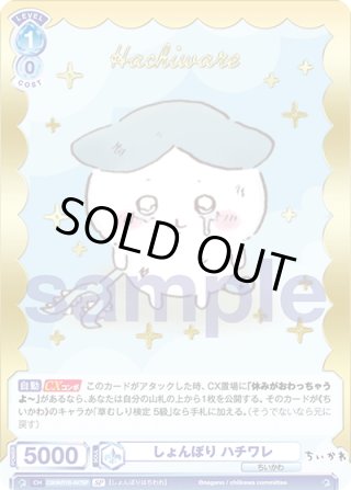 ちいかわ SSP・SP・BR・PR - マスターズスクウェア通販ブシロード店 ちいかわ SSP・SP・BR・PR - マスターズスクウェア通販ブシロード店