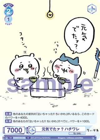 SSP仕様】ねちゃいそう ハチワレ[WSB_CIKW/01B-041SSP