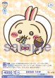 画像2: 【BR仕様(N)】あまあま うさぎ[WSB_CIKW/02B-015B] (2)