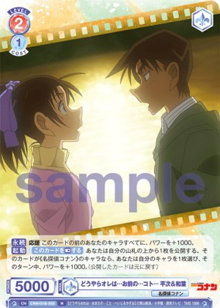 完訳版 シャーロック・ホームズ全集 全14巻 | コナン ドイル |本