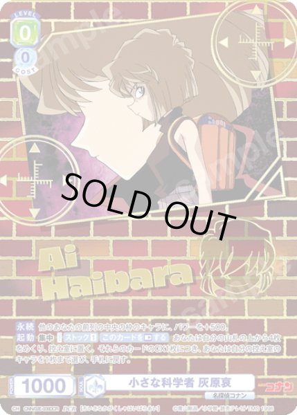 画像1: 【DCR仕様】小さな科学者 灰原哀[WSB_CNN/02E-008DCR] (1)