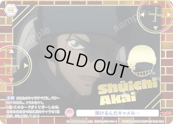 画像1: 【DCR仕様】開けるんだキャメル…[WSB_CNN/02E-027DCR] (1)