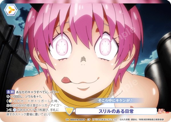 画像1: 【CP仕様(N)】スリルのある日常[WSB_EES/01B-022CP] (1)