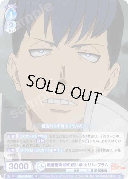 画像1: 熱音響冷却の使い手 カリム・フラム[WSB_EES/01B-053R] (1)