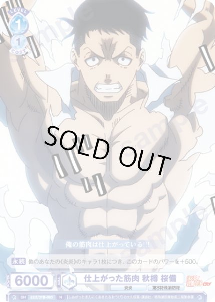 画像1: 仕上がった筋肉 秋樽 桜備[WSB_EES/01B-063N] (1)