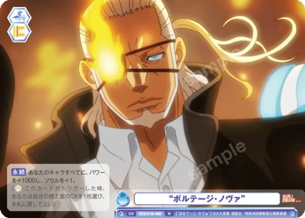 画像1: “ボルテージ・ノヴァ”[WSB_EES/01B-068N] (1)