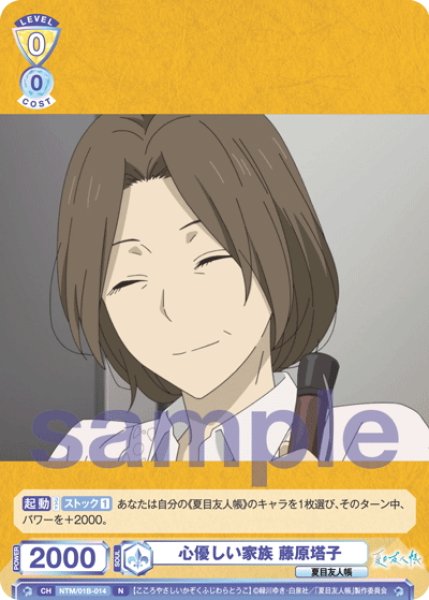 画像1: 心優しい家族 藤原塔子[WSB_NTM/01B-014N] (1)