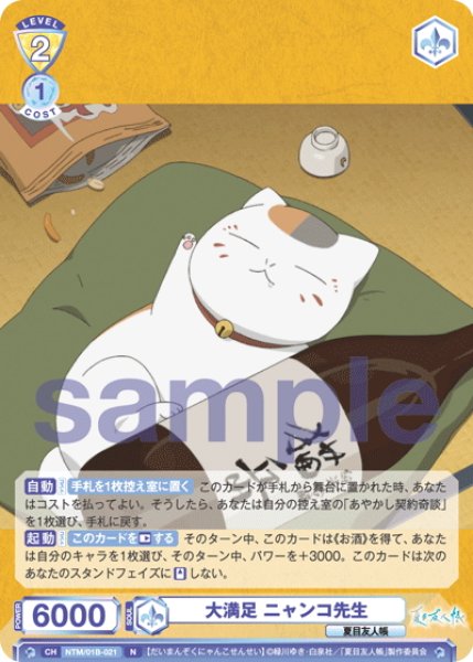 画像1: 大満足 ニャンコ先生[WSB_NTM/01B-021N] (1)