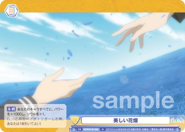 画像1: 美しい花畑[WSB_NTM/01B-026N] (1)