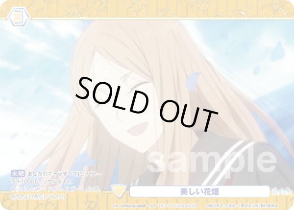 画像1: 【SP仕様(N)】美しい花畑[WSB_NTM/01B-026SP] (1)