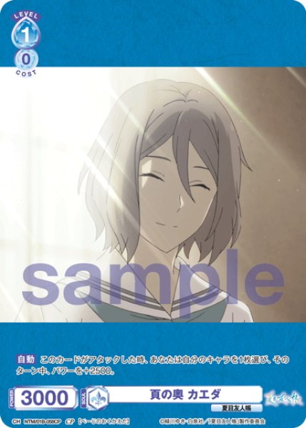 画像1: 【CP仕様(N)】頁の奥 カエダ[WSB_NTM/01B-058CP] (1)