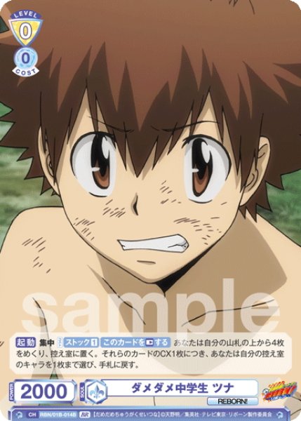 画像2: 【BR仕様(N)】ダメダメ中学生 ツナ[WSB_RBN/01B-014B] (2)