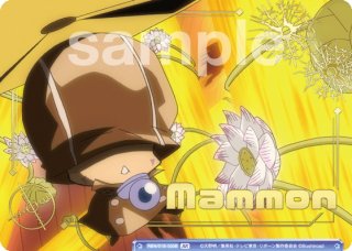 ヴァイスシュヴァルツブラウ - マスターズスクウェア通販