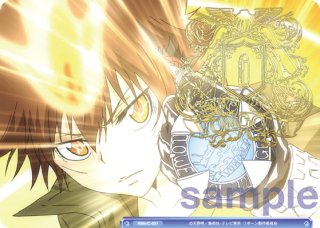 SD】家庭教師ヒットマンREBORN! - マスターズスクウェア通販