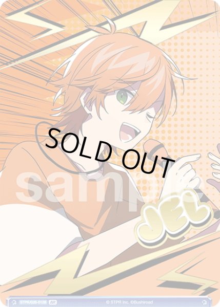 画像1: 【BR仕様(N)】STAY PROUD ジェル[WSB_STPR/02B-012B] (1)