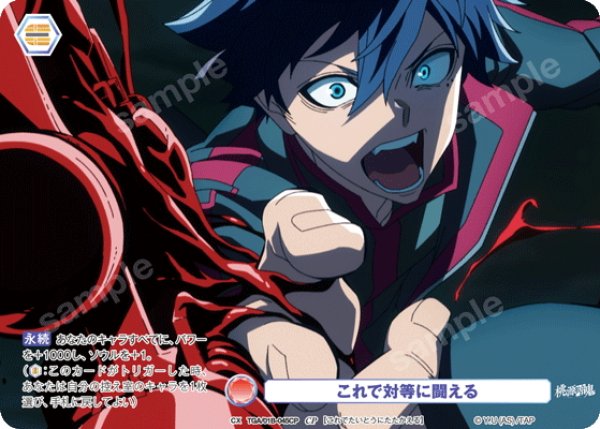 画像1: 【CP仕様(N)】これで対等に闘える[WSB_TGA/01B-045CP] (1)