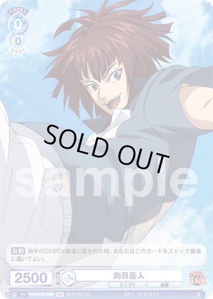 画像2: 【BR仕様(N)】向日岳人[WSB_TNPR/01B-056B] (2)