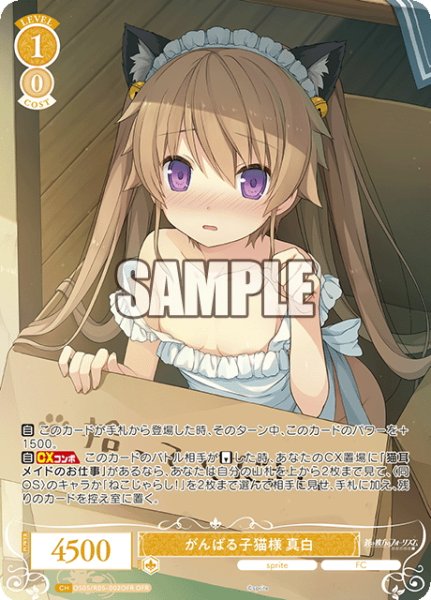 画像1: 【OFR仕様(RR)】がんばる子猫様 真白[WSR_OS05/R05-002OFR] (1)