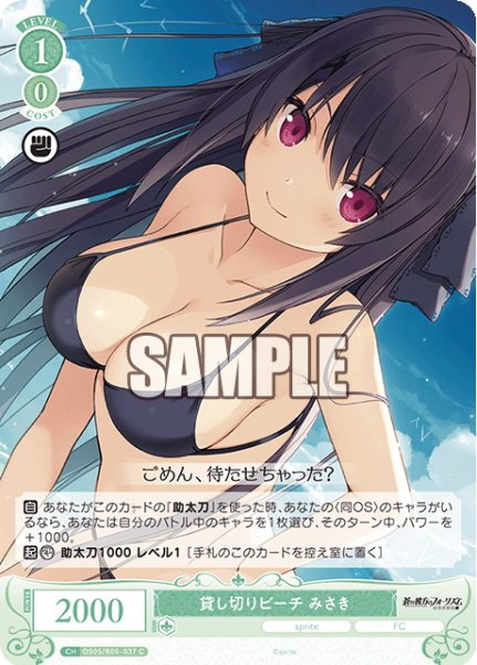 画像1: 貸し切りビーチ みさき[WSR_OS05/R05-037C] (1)