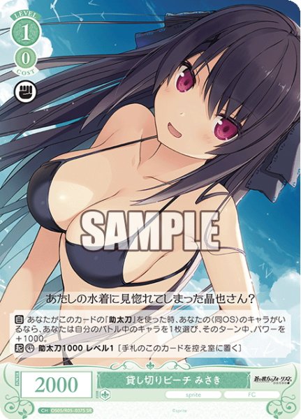 画像1: 【SR仕様(C)】貸し切りビーチ みさき[WSR_OS05/R05-037S] (1)