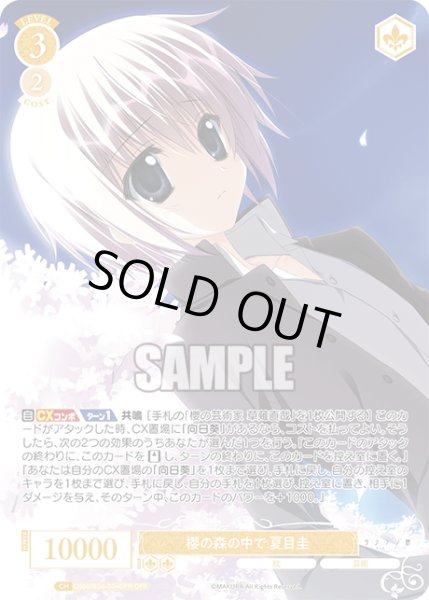 画像1: 【OFR仕様(R)】櫻の森の中で 夏目圭[WSR_OS06/R06-004OFR] (1)