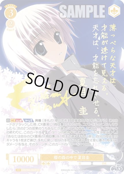 画像1: 【SP仕様(R)】櫻の森の中で 夏目圭[WSR_OS06/R06-004SP] (1)