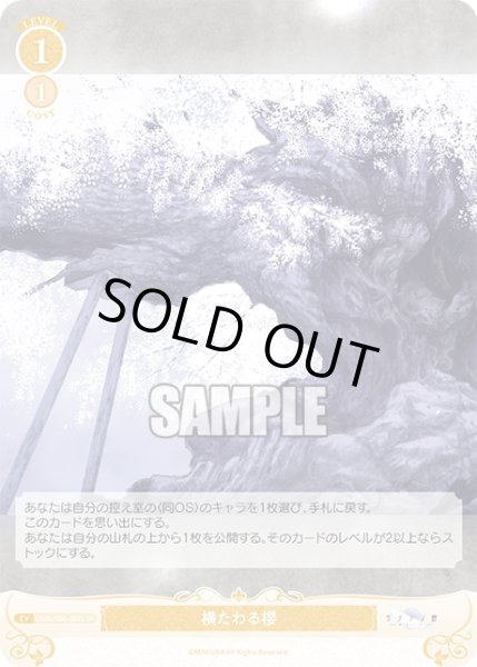 画像1: 【SR仕様(C)】横たわる櫻[WSR_OS06/R06-022S] (1)