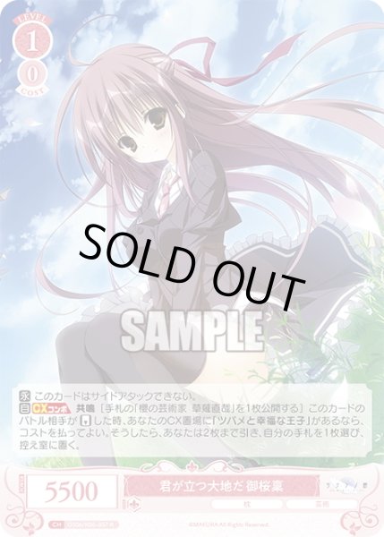 画像1: 君が立つ大地だ 御桜稟[WSR_OS06/R06-057R] (1)