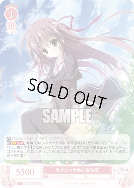 画像1: 【SR仕様(R)】君が立つ大地だ 御桜稟[WSR_OS06/R06-057S] (1)