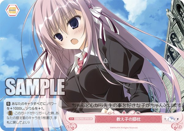 画像1: 【SR仕様(C)】教え子の膝枕[WSR_OS06/R06-075S] (1)